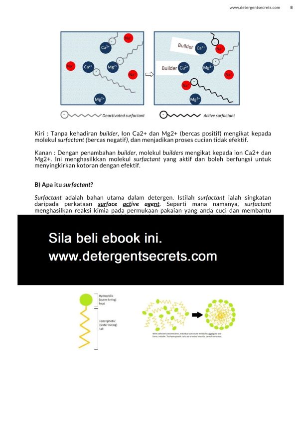 12 Formulasi Rahsia Produk Detergent & 14 Formulasi Produk Kosmetik  Bertaraf Antarabangsa